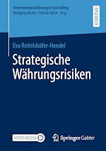 Télécharger le livre :  Strategische Währungsrisiken