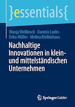 Télécharger le livre :  Nachhaltige Innovationen in klein- und mittelständischen Unternehmen