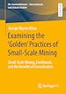 Télécharger le livre :  Examining the ‘Golden' Practices of Small-Scale Mining