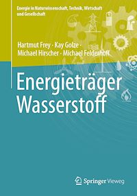 Télécharger le livre :  Energieträger Wasserstoff