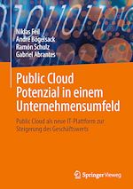 Download this eBook Public Cloud Potenzial in einem Unternehmensumfeld