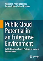 Download this eBook Public Cloud Potential in an Enterprise Environment