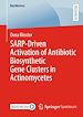 Télécharger le livre :  SARP-Driven Activation of Antibiotic Biosynthetic Gene Clusters in Actinomycetes