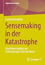 Download this eBook Sensemaking in der Katastrophe