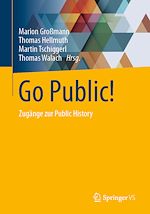 Download this eBook Go Public!