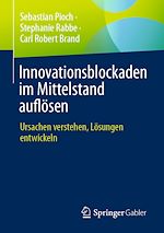 Télécharger le livre :  Innovationsblockaden im Mittelstand auflösen