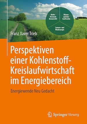 Téléchargez le livre :  Perspektiven einer Kohlenstoffkreislaufwirtschaft im Energiebereich