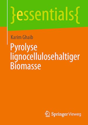 Download the eBook: Pyrolyse lignocellulosehaltiger Biomasse