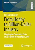 Download this eBook From Hobby to Billion-Dollar Industry
