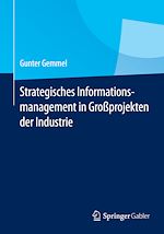 Télécharger le livre :  Strategisches Informationsmanagement in Großprojekten der Industrie