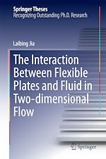 Télécharger le livre :  The Interaction Between Flexible Plates and Fluid in Two-dimensional Flow