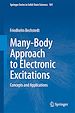 Télécharger le livre :  Many-Body Approach to Electronic Excitations