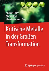 Télécharger le livre :  Kritische Metalle in der Großen Transformation