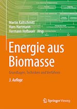 Download this eBook Energie aus Biomasse
