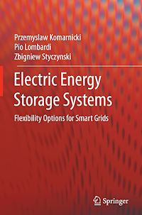 Télécharger le livre : Electric Energy Storage Systems