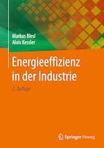 Télécharger le livre :  Energieeffizienz in der Industrie