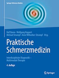 Télécharger le livre :  Praktische Schmerzmedizin