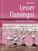 Télécharger le livre :  Lesser Flamingos