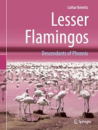 Télécharger le livre :  Lesser Flamingos