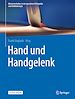Télécharger le livre :  Hand und Handgelenk