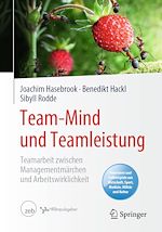 Télécharger le livre :  Team-Mind und Teamleistung