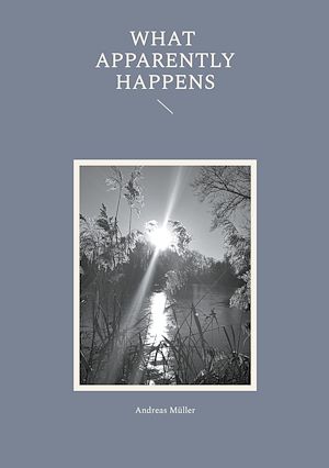 Téléchargez le livre :  What apparently happens