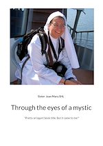 Download this eBook Through the eyes of a mystic