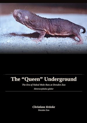 Download the eBook: The Queen Underground