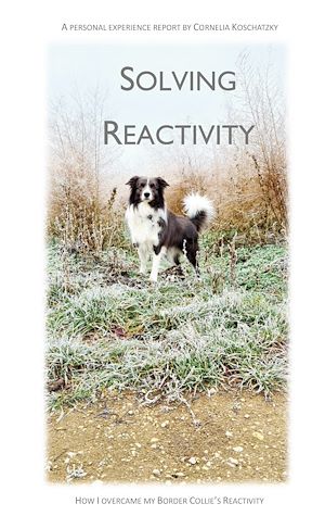 Download the eBook: Solving Reactivity