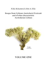 Télécharger le livre :  Images from Lichenes Australasici Exsiccati and of other characteristic Australasian Lichens. Volume One