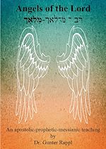 Télécharger le livre :  Angels of the Lord