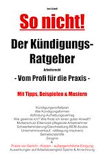 Télécharger le livre :  So nicht! Der Kündigungs-Ratgeber Arbeitsrecht