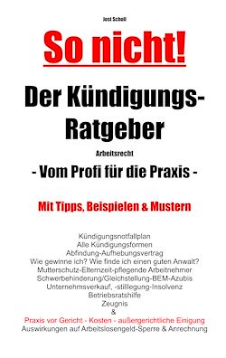 Télécharger le livre :  So nicht! Der Kündigungs-Ratgeber Arbeitsrecht