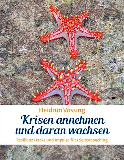 Télécharger le livre :  Krisen annehmen und daran wachsen