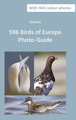 Télécharger le livre :  596 Birds of Europe