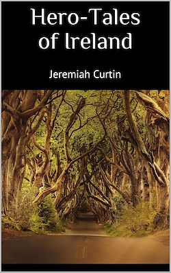 Télécharger le livre :  Hero-Tales of Ireland