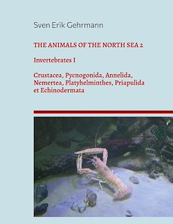 Télécharger le livre :  The Animals Of The North Sea 2
