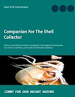 Download this eBook Companion For The Shell Collector