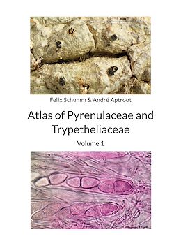Télécharger le livre :  Atlas of Pyrenulaceae and Trypetheliaceae - Volume 1