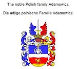 Télécharger le livre :  The noble Polish family Adamowicz. Die adlige polnische Familie Adamowicz.