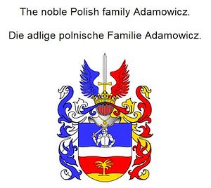 Téléchargez le livre :  The noble Polish family Adamowicz. Die adlige polnische Familie Adamowicz.