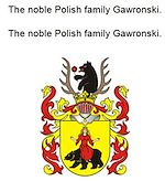 Télécharger le livre :  The noble Polish family Gawronski. Die adlige polnische Familie Gawronski.