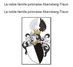 Télécharger le livre :  The noble Polish family Abensberg Traun. Die adlige polnische Familie Abensberg Traun.