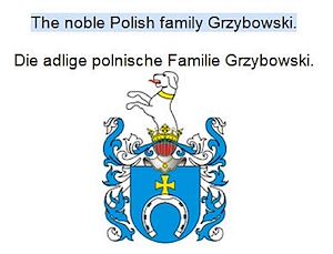 Téléchargez le livre :  The noble Polish family Grzybowski. Die adlige polnische Familie Grzybowski.