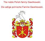 Télécharger le livre :  The noble Polish family Gawlikowski. Die adlige polnische Familie Gawlikowski.