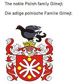 Télécharger le livre :  The noble Polish family Gilnejt. Die adlige polnische Familie Gilnejt.