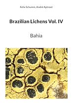 Télécharger le livre :  Brazilian Lichens Vol. IV