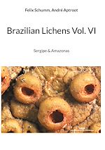 Télécharger le livre :  Brazilian Lichens Vol. VI