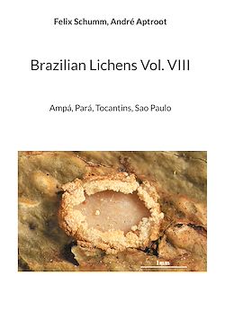 Télécharger le livre :  Brazilian Lichens Vol. VIII