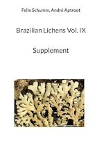 Télécharger le livre :  Brazilian Lichens Vol. IX